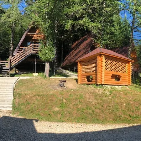 Karpatskyy 山林小屋