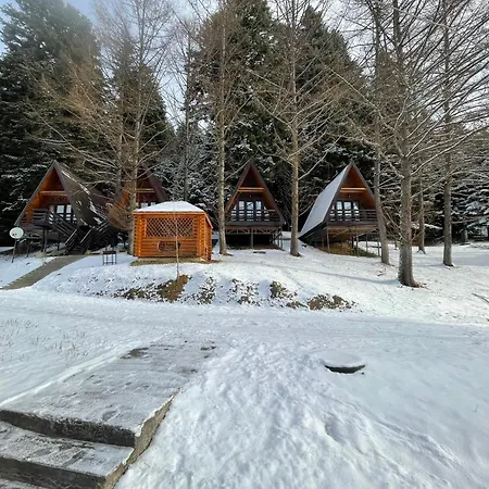 Karpatskyy 山林小屋 Rozluch