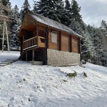 Karpatskyy 山林小屋 *