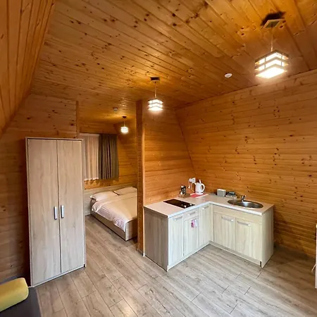 Karpatskyy 山林小屋 Rozluch