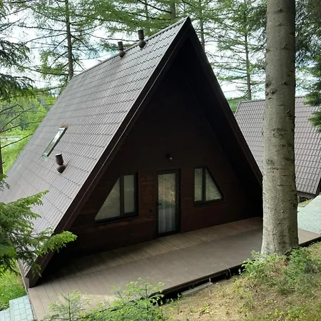 Karpatskyy Lodge Rozluch