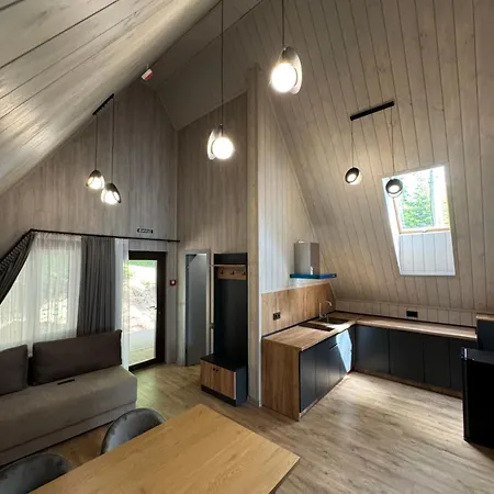 Lodge Karpatskyy *