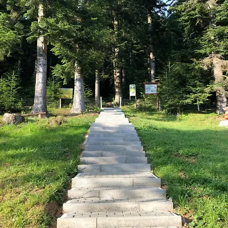 Karpatskyy * Rozluch