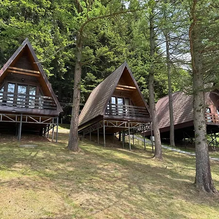 Orman Evi Karpatskyy Rozluch