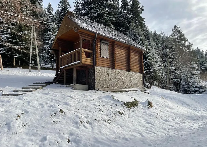 Karpatskyy Lodge *