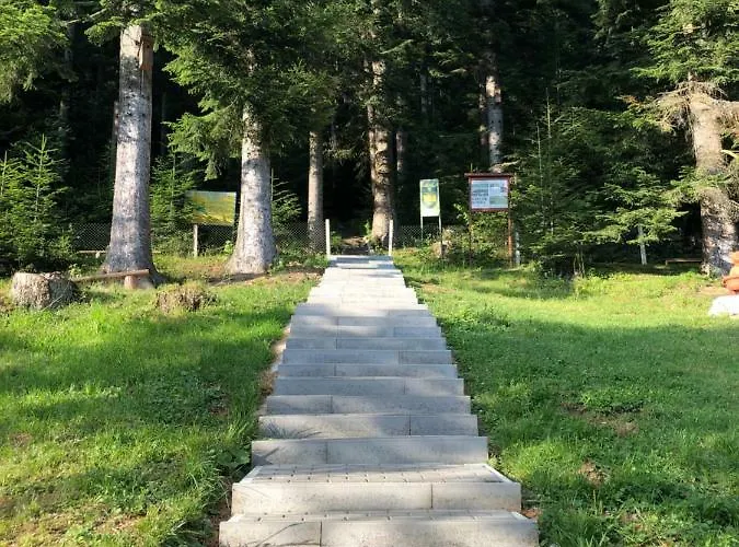 Karpatskyy * Rozluch